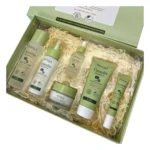 SET de Skincare, Conjunto de 6 piezas con Centella Asiática Bioaqua